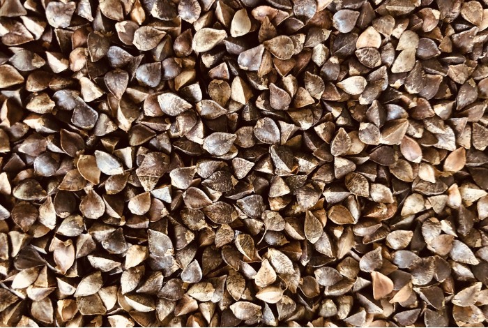 Buckwheat organic seeds