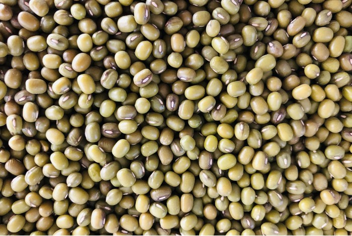 Mung beans organic seeds